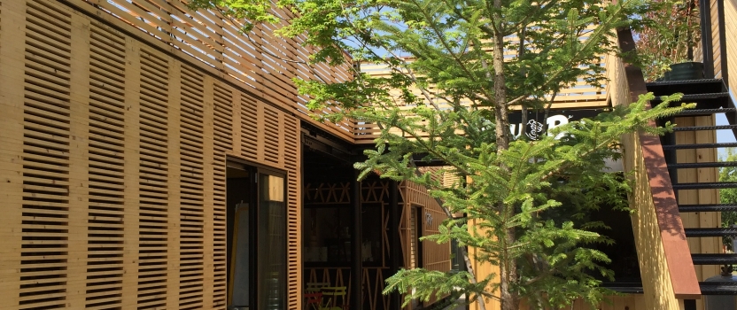 愛知県犬山市「犬山 森のマルシェ」商業建築　コンテナ+鉄骨造　撮影