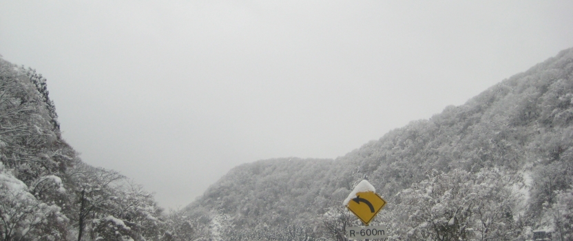 福井は雪景色