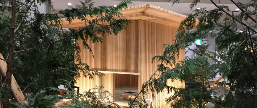 「木と住まいの博覧会」「耐震博覧会2016・東京」に移動茶室（森の茶室/檜の茶室）が展示されました。