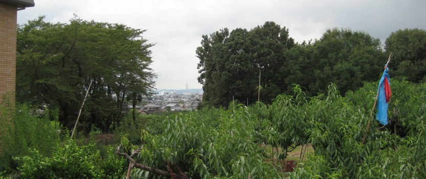 愛知県犬山市「つつじヶ丘の家」木造住宅　実施設計中